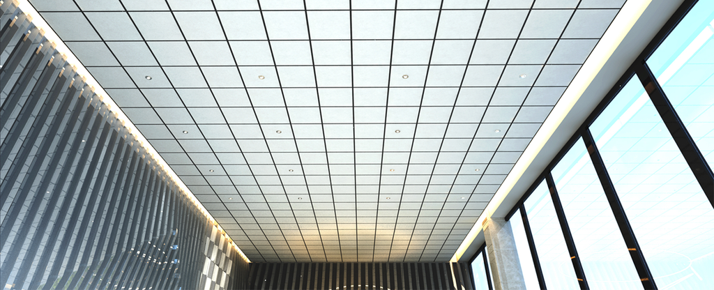 Challenges of Living off the Grid in an Apartment